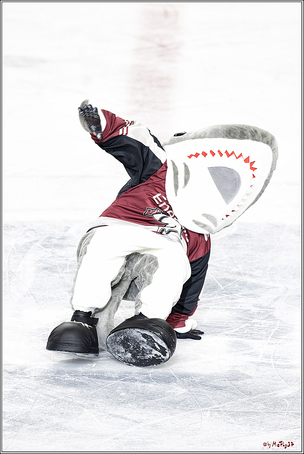 PENNY DEL;  Koelner Haie - ERC Ingolstadt; Koeln, 01.04.2021